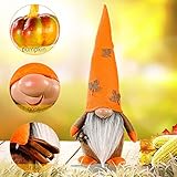 Zoom IMG-2 glaitc gnomo autunnale decorazioni autunnali