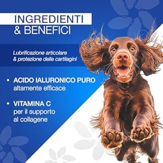 AnnonPet® Mobility Care Integratore Articolazioni Cane Liquido con Acido Ialuronico Puro e Vitamina C | Supporto Naturale per Mobilità, Artrosi, Artrite e Displasia | Flacone 100 ml con Dosatore