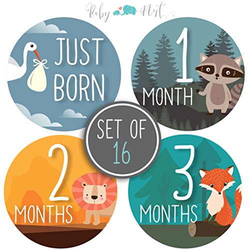 Baby Milestone Stickers by Baby Nest Designs - Set of 16 Baby Monthly Stickers. Cute Woodland Animals Each Month Stickers for Baby Boy and Baby Girl - Newborn Photography Props, Fun Baby Shower Gifts