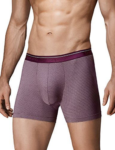 Separatec Men's Separate Pouch Fast Dry Stylish Stripe Trunks