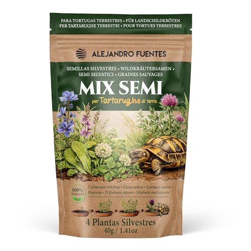 AF® Graines à Semer pour Tortue Terrestre 40g | Mélange Rapide Chicorée Trèfle Chardon-Marie | Herbes Méditerranéennes pour Prairie Naturelle | Testudo...