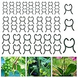 150 Stück Klein Pflanzenclips Grün, Pflanzenclips, Pflanzenklammern Klein, 3 Größen Pflanzen Clips für Kletterpflanzen, Tomatenclips, Wiederverwendbar, für Unterstützen Pflanzen Obstgemüse Blumen