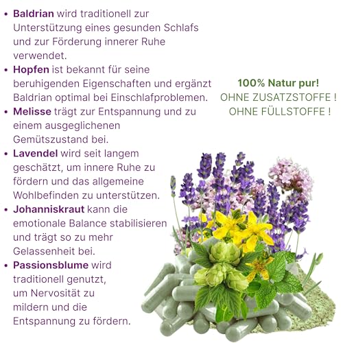 BERUHIGUNG, ENTPANNUNG 120 Kapseln PFLANZLICHES Beruhigungsmittel mit Baldrian Hopfen Melisse Lavendel Johanniskraut Passionsblume. Natürliche BERUHIGUNGSKAPSELN. OHNE ZUSATZSTOFFE. 26720-120