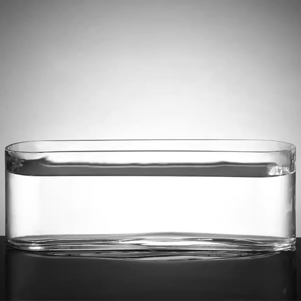 Narrow Glass Aquarium, Desktop Mini Transparnt Betta Fish Tank, Modern Clear Batta Fish Tank, Open Glass Table Top Fish Bowl, Small Rectangular Fish Tank, Ecological Fish Bowl,S