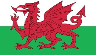Wales Welsh Dragon Flag MASSIVE 8'x5' (2.4m long!)