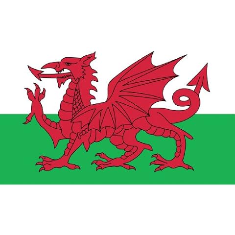 Wales Welsh Dragon Flag MASSIVE 8'x5' (2.4m long!) Cover