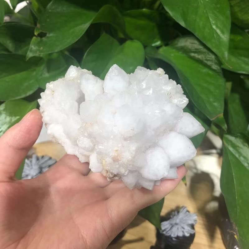 Cuarzo cristal natural de roca transparente para regalo de inauguración 3