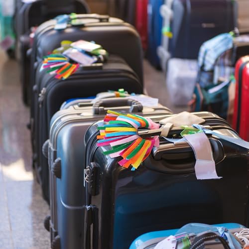 Breling 2 Pcs Luggage Pom Poms for Suitcases Funny Luggage Identifiers Pom Tags for Suitcase Backpack, Knotted Strap(Bright Colors)3