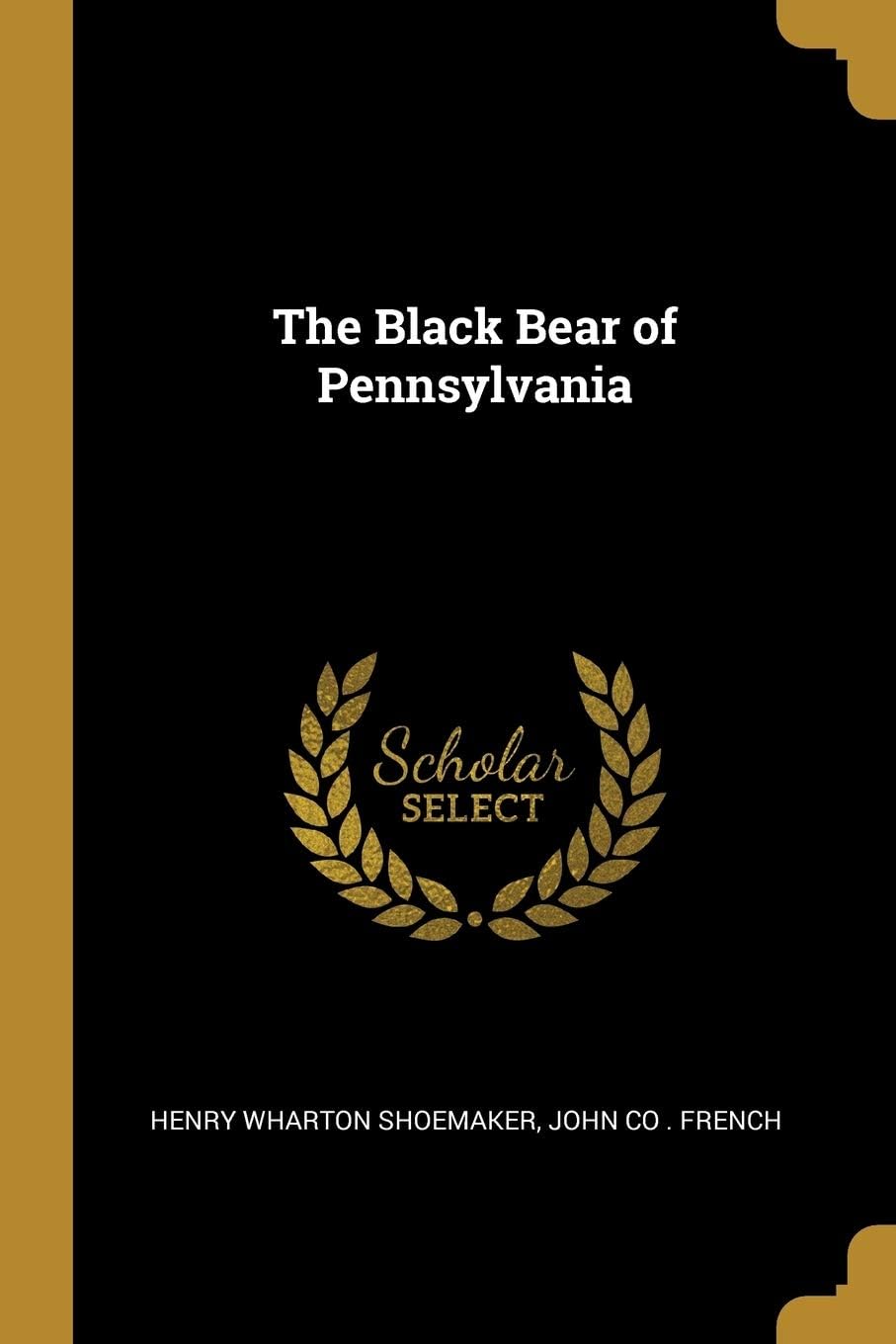The Black Bear of Pennsylvania