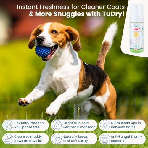 Image of TuDry 300ml | Dry Shampoo for Dogs & Cats | Anti Bacterial, Fungal Care | Lick Safe Hypoallergenic Formula | Removes Dirt & Odor | Dog Shampoo for Itchy Skin | Provides Shiny Coat