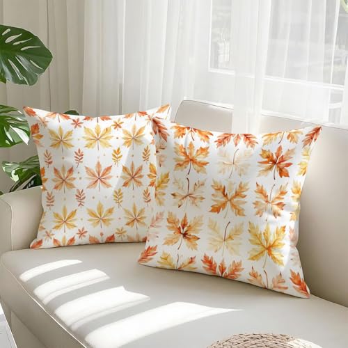 Housse coussin 65x65cm décoratif velours brun d'une douceur d'exception