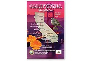 Postcard View: California Map Postcard Set: Set of 20 Postcards with State...