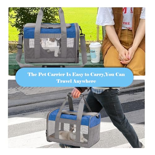 Image of Soft Sided Pet Carrier for Cat,Airline Approved Cat Carriers Collapsible Portable Kitten Travel Crate Breathable Ventilated Grey Blue Puppy Carrying Bag Under to 12 Lb