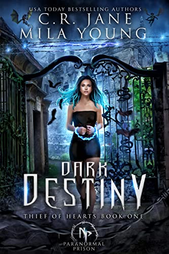 Dark Destiny: Paranormal Prison Romance (Thief of Hearts Book 1) (English Edition)