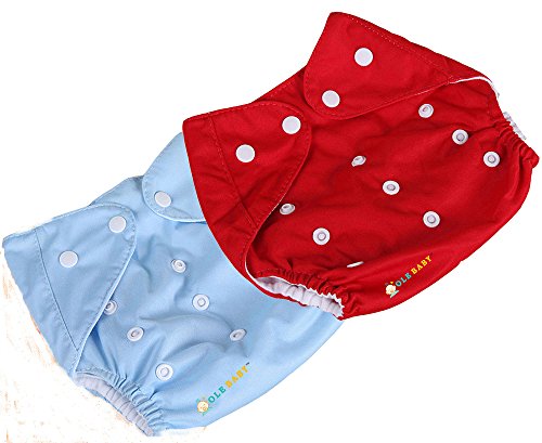 Image of Cloth Diaper Reusable Nappy Anti Bacterial Washable Free Size Adjustable Waterproof Covered with Bamboo Charcoal Cloth Insert Pack of 2