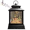 GOOSH Lighted Christmas Snow Globe Lante...