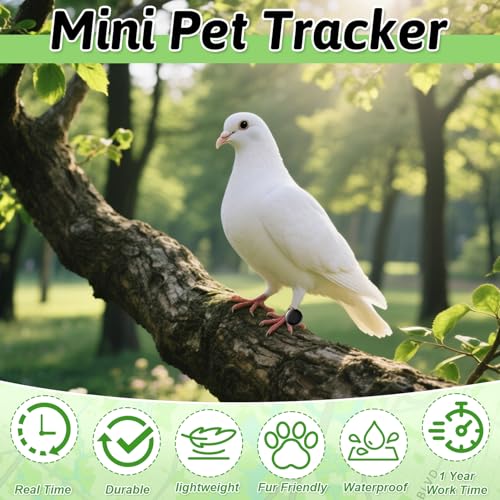 Pipihome GPS Tracker Katze, GPS Tracker Hund Ohne ABO, Mini Katzen Tracker, Haustierortungsgerät für Katzen Hunde, Katzentracker Hundetracker mit Android & iOS, Weltweite Standortverfolgung
