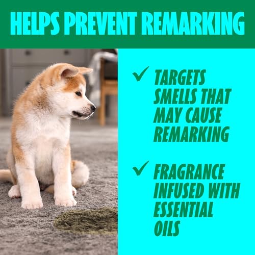 Shout Pet Stain Remover Spray, Color-Safe Multisurface & Carpet Cleaner Solution for Dog & Cat Urine, Feces, Vomit & Mud, Fights Odors & Remarking, Fast-Acting Cleans in 5 Minutes or Less, 22oz