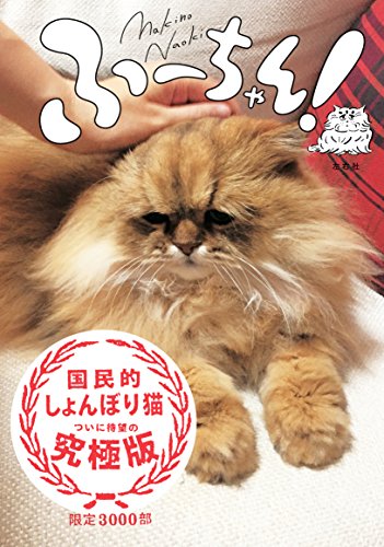 無料電子書籍 アプリ ふーちゃん! バイ