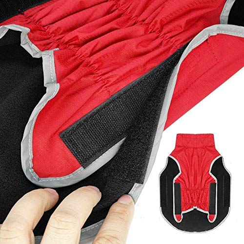 AxSpeed Hundebekleidung für Herbst und Winter, warm, gepolstert, wasserdichte Jacke (rot, M)