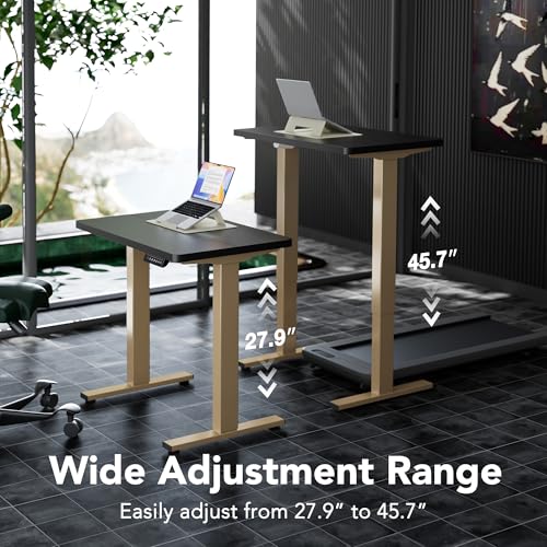 Image of HUANUO 32 inch Small Electric Standing Desk Adjustable Height, 4 Memory Height Settings, Sit Stand Up Desk for Home Office & Computer Workstation, Black and Gold Frame