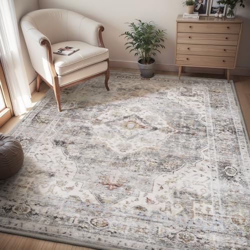 AMOAMI-4X6 Area Rugs for Living Room -Soft Vintage Bedroom Rugs-Non