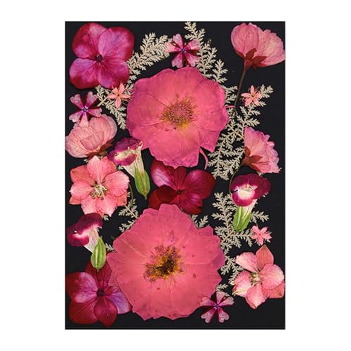 Flores Secas Naturales Prensadas para Resina Epoxi Set miniatura 1