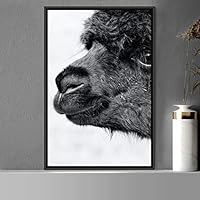 Framed Canvas Wall Art High Contrast Portrait Animals Black and White Contemporary Dogs Duotone Expressive Grey Photography Portrait - 16x24 inches