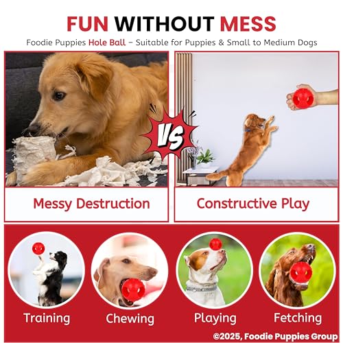 Image of Foodie Puppies Natural Rubber Flavored Hole Ball - 2.35inch / 6cm | Suitable for Small to Medium Dogs and Puppies | Chewing, Teething, and Training Ball Toy