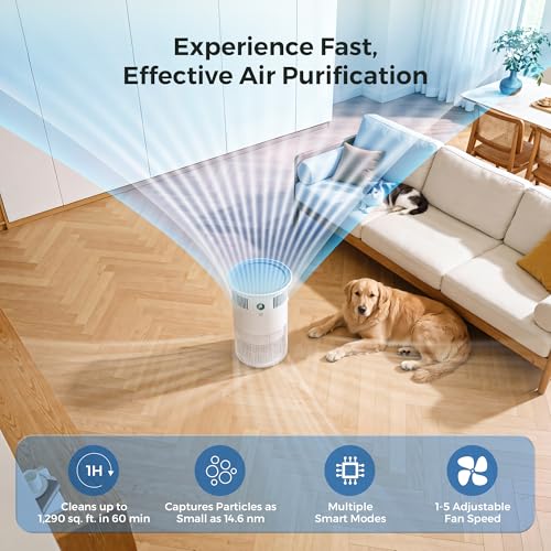 Airdog Air Purifier for Home Pets Bedroom Dorm Room Covers Up to 1290 Sq.Ft by Airdog - Used condition - Image 6
