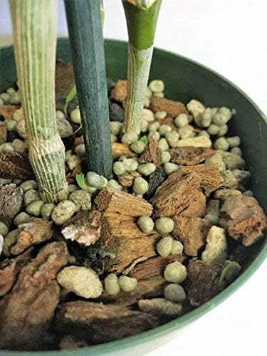 Miniatura 3 de Tierra para macetas con perlita, turba, musgo, coco, carbón y corteza de orquídea para Cattleya Dendrobium Oncidium Mezcla para macetas de corteza