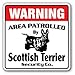 HNNT Scotish Terrier, Decalcomania di Sicurezza per Cani pattugliati Proprietari, guinzaglio in Metallo, 30,5 x 30,5 cm