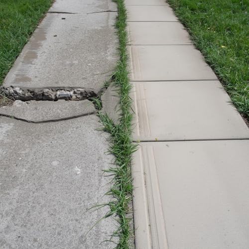 The Field Manual for Manhood: Stop Patching, Start Rebuilding