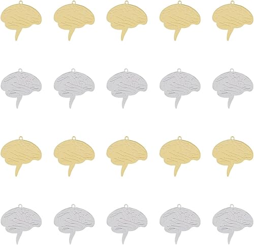 DICOSMETIC 20 dijes anatómicos para cerebro de 2 colores, colgante de anatomía humana, colgante dorado de enfermera de acero inoxidable para regalo