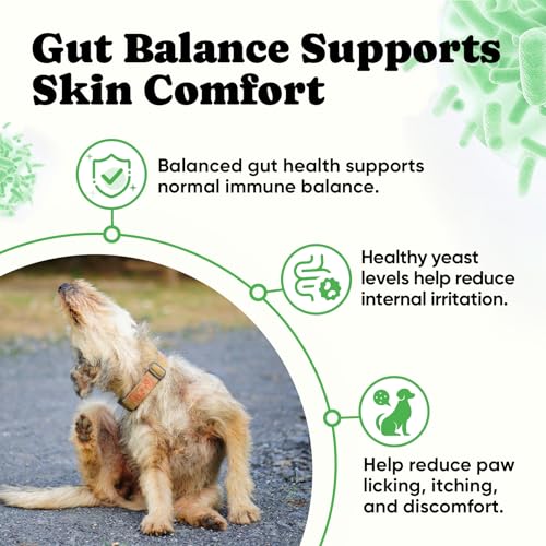 Probiotics for Dogs – Helps Digestion, Loose Stools, Gas & Sensitive Stomachs, Probiotics for Itchy Skin & Dog Yeast Infection, Immune & Fresher Breath with 4 Prebiotics & 5 Digestive Enzymes – 180 ct - Image 5