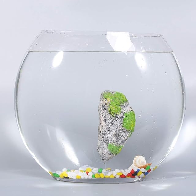 Foto 4 de 8 de Piedra de resina flotante con musgo para acuario
