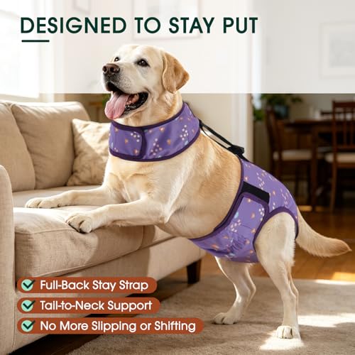 Image of Kuoser Dog Diapers Female with Suspenders, Escape-Proof Doggie Diaper, XS