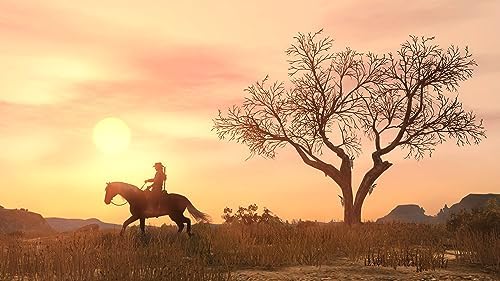 Red Dead Redemption Playstation 4 - 2