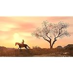 Red Dead Redemption - PlayStation 4 - Image 3