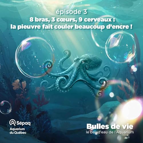 &Eacute;pisode 3 - 8 bras, 3 c&oelig;urs, 9 cerveaux : la pieuvre fait couler beaucoup d&rsquo;encre !