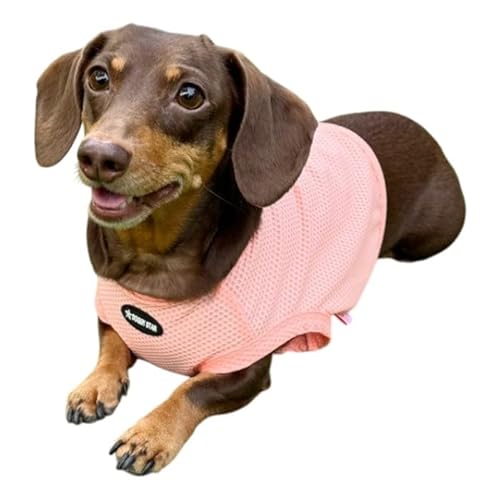 D DOGGY STAR ダックス服 接触冷感 メッシュ クール クロップド タンクトップ ひんやり 小型犬 中型犬 ダックスフンド 夏 ドッギースター (インディピンク, XL)