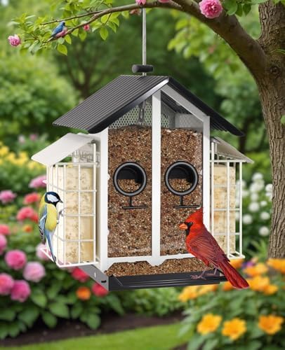 best bird feeders for white necked ravens that will surprise you 6 Weatherproof Hanging Bird Feeders for Outdoors - 4Lbs Large Metal Suet Feeder for Wild Cardinal Finch, White Bird Watching Lovers Gifts Garden Decor Decorations Ornaments
