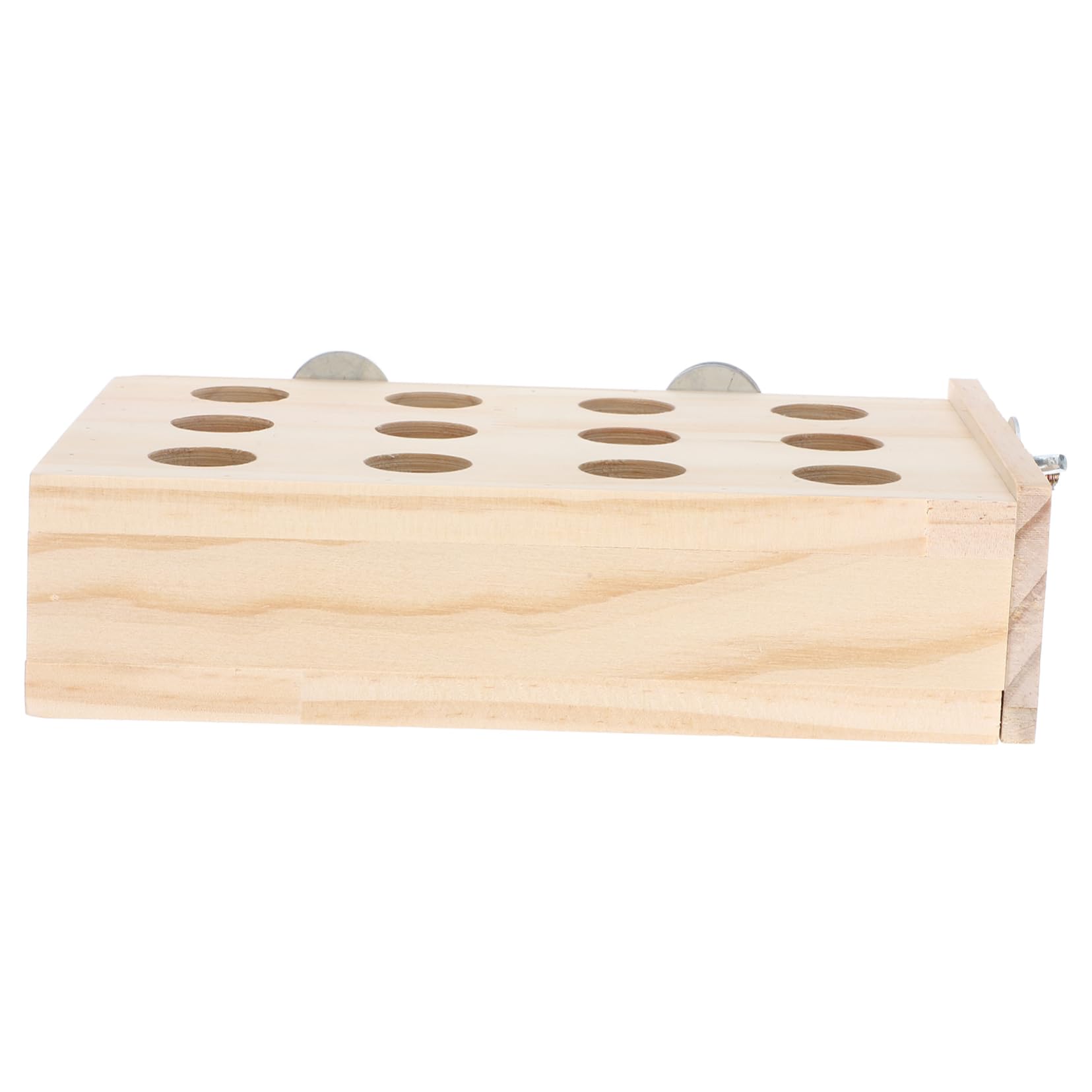 BESPORTBLE 5stücke Papagei Kauspielzeug Für Wellensittiche Multifunktionales Vogelspielzeug Für Käfige Sicher Und Langlebig Fördert Spiel Und Bewegung Für Papageienarten