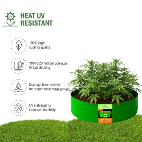 Image of Kingwell Grow Bag For Terrace Garden Leafy Vegetable Plant Grow Bags Fruits Growing Containers For terrece Gardening (12 X 6 INCH, PACK OF 1)