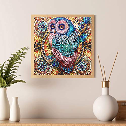Hibah Diamond Painting Diy 5D Special Shape Rhinestone, Owl, Partial Diamond Crystal Diamond Painting Set (Mandala) #TOP2