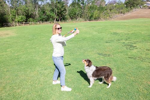 Chuckit! Flying Duck Fetch Slingshot Dog Toy, Orange & Blue – Crinkle Fabric Duck for Outdoor Fetch, Small to Medium Dogs Up to 60 lb – High‑Flight Slingshot Design, Durable Construction – Pack of 1 by Chuckit! - Used condition - Image 2