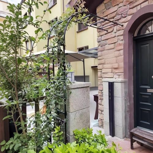 Pergolato da giardino in metallo antiruggine robusto a mezzo arco per rampicanti e rose disponibile in 60 larghezze 270 cm durevole decorazione esterna per bellissimi giardini