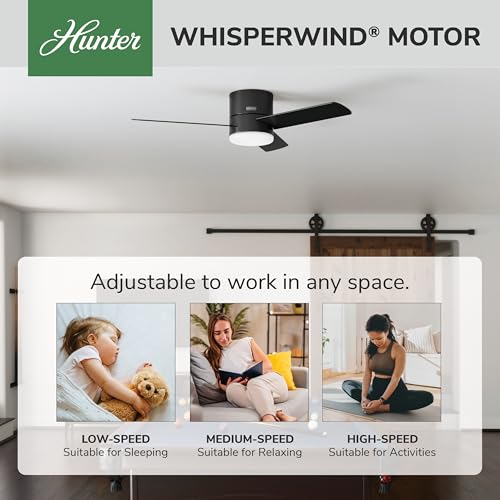 Image of Hunter Minimus, Indoor, Ceiling Fan, with LED Light, 52 inch, Matte Black