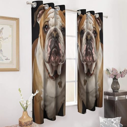 Rideaux occultants bouledogue anglais isolation thermique de salon