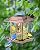 DesGully Bird Feeders for Outdoors Hanging - 2.5 LBs Wild Birds Metal Solar Bird Feeder for Outside Gift Ideas for Bird Lovers Garden Yard Bird Seeds (Chew-Proof,Weather Resistance)